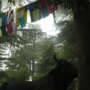p1. Dharamsala impressions: introduction + some tips